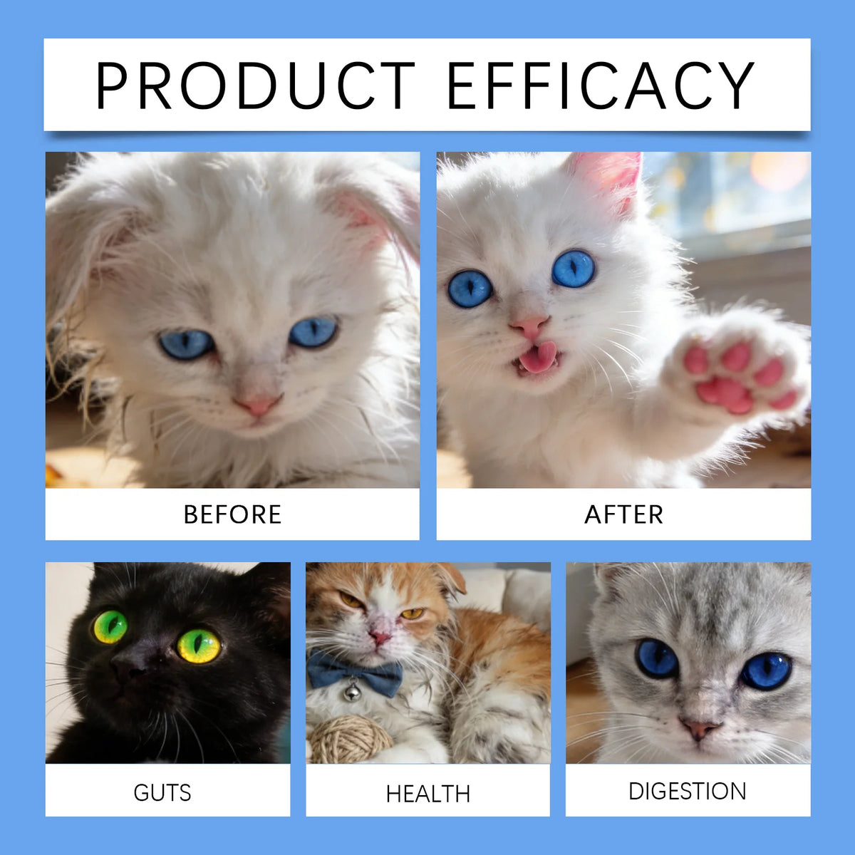 Kriath Probiotic Drops for Cats — 30 ml