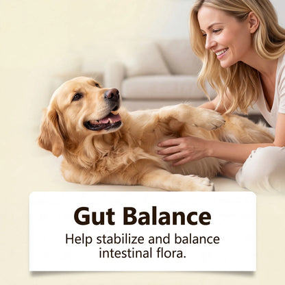 Joint Support Soft Chews Hip Care Supplement for Senior Dogs Mobility Health Relief Mild Formula Nutritional Dog Treats