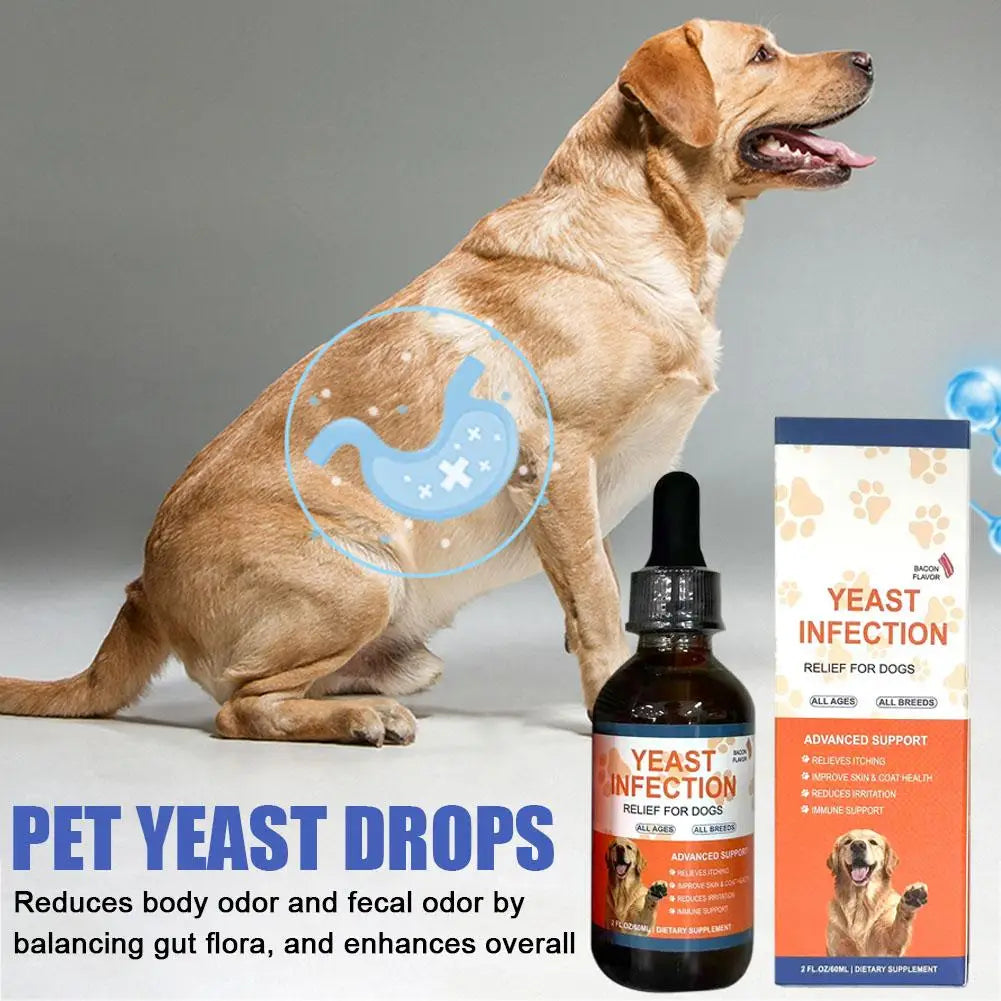 60ml Pet Yeast Drops for Dogs Cats Digestive Enzyme Probiotics for Pet Gut Health Relief for Constipation Diarrhea Supplements