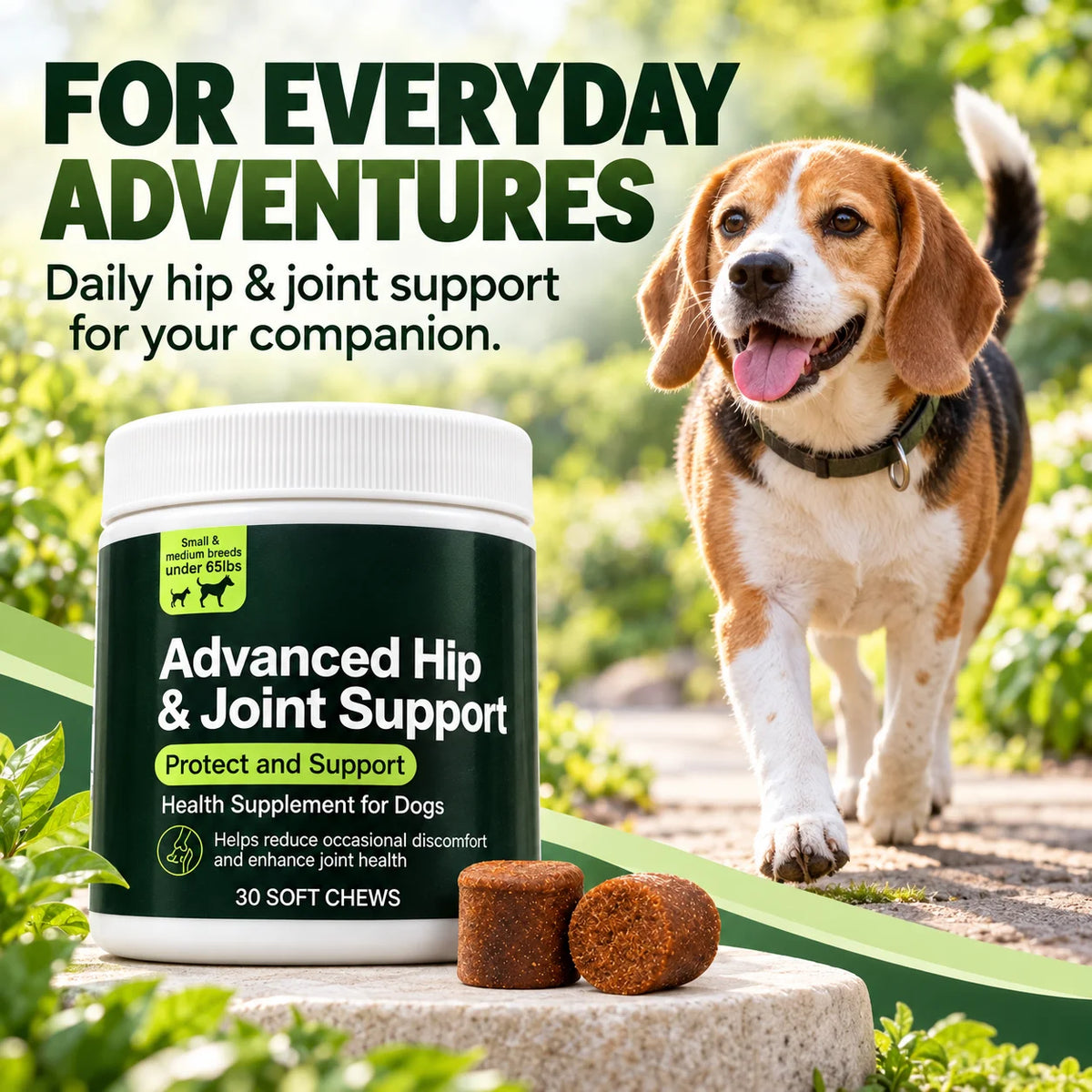 Hip & Joint Soft Chews for Dogs