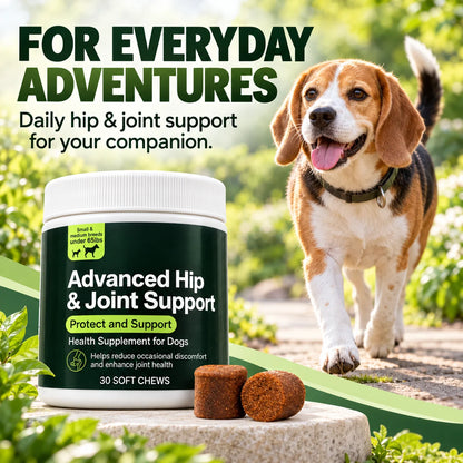 Hip & Joint Soft Chews for Dogs