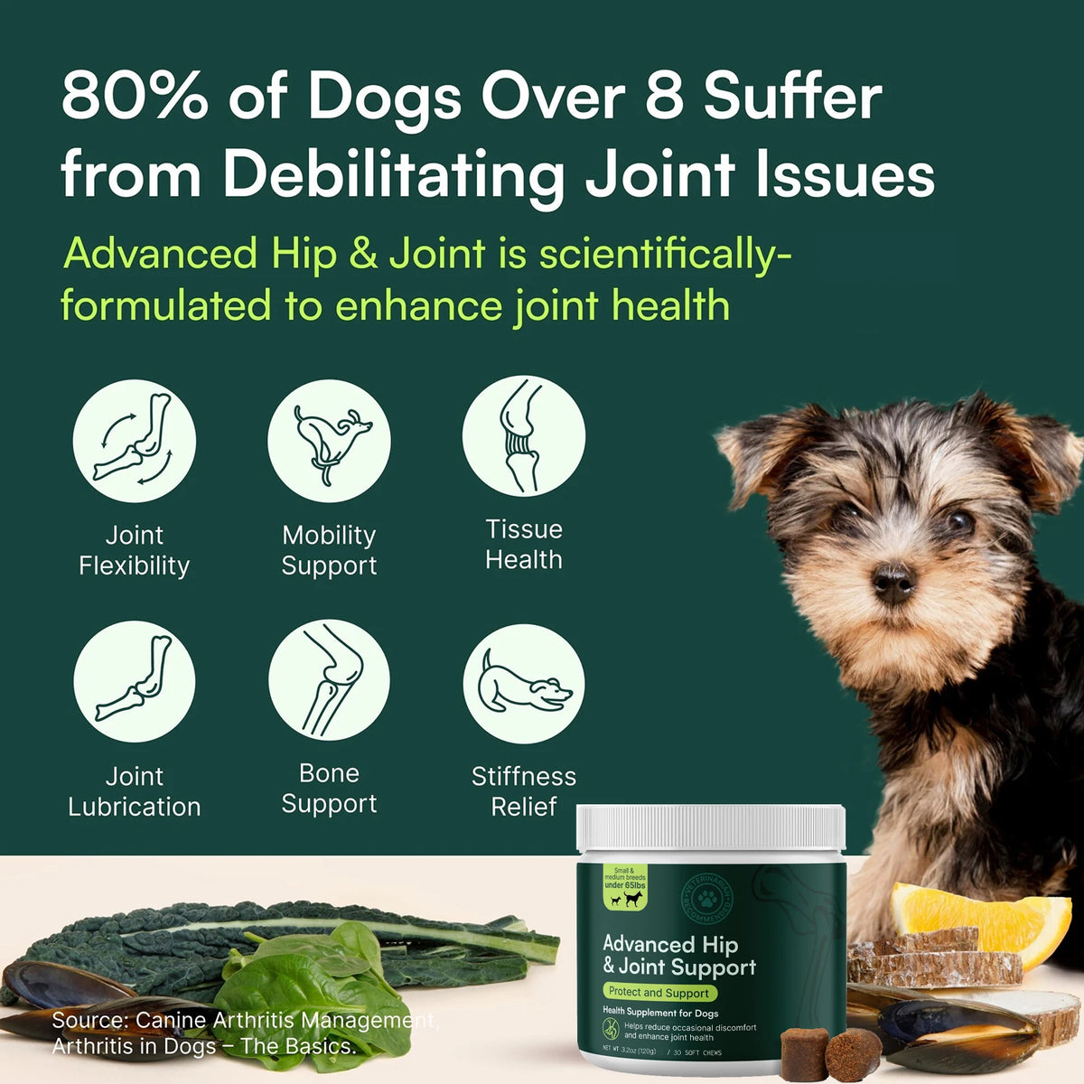 Advanced Dog Hip and Joint Supplement for Small & Medium Breeds Dog - Glucosamine Chondroitin, Omega 3 MSM Green Lipped Mussel