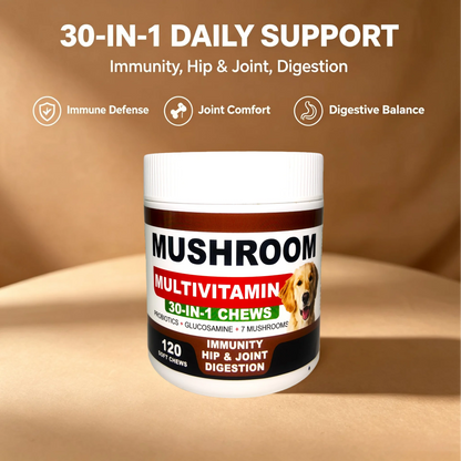 Mushroom Supplement for Dogs - Mushrooms for Dogs - 120 Chews