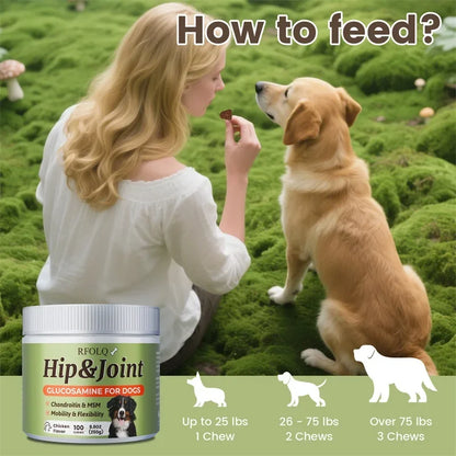 Hip & Joint Chews - Reduce Discomfort, Enhance Joint Flexibility, Maintain Bone and Joint Health, Promotes Healthy Skin and Coat