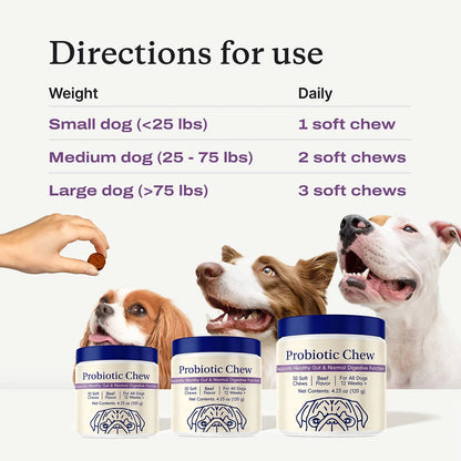 Probiotic Chews for Dogs - Probiotics for Gut Health, Occasional Diarrhea, Digestive Health & Seasonal Allergies, Beef Flavor