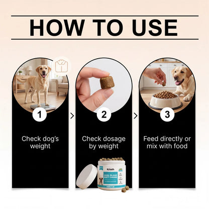Joint Support Soft Chews Hip Care Supplement for Senior Dogs Mobility Health Relief Mild Formula Nutritional Dog Treats