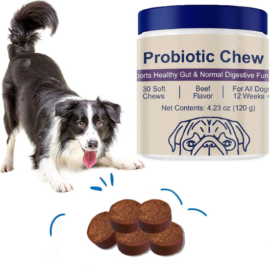 Probiotic Soft Chews for Dogs