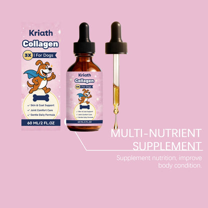 Dog Collagen Liquid Drops Enhance Joint Flexibility Strengthen Bone Improve Skin Condition Mild Daily Dog Nutritional Supplement