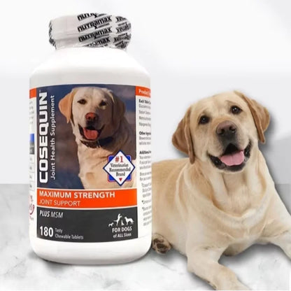 MAXIMUM STRENGTH Reduce Joint Aging, 180 pcs/bottle Cosequin DS Plus MSM Joint Health Supplement For Dogs