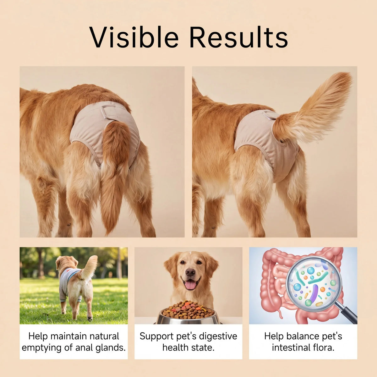 Joint Support Soft Chews Hip Care Supplement for Senior Dogs Mobility Health Relief Mild Formula Nutritional Dog Treats