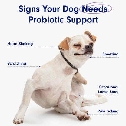 Probiotic Soft Chews for Dogs