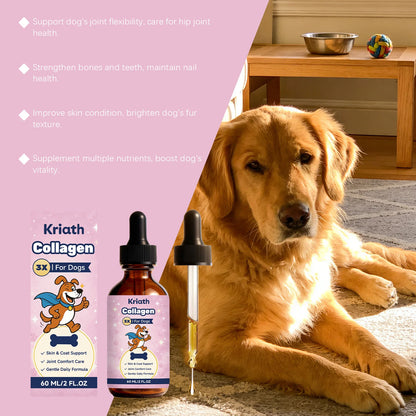 Dog Collagen Liquid Drops Enhance Joint Flexibility Strengthen Bone Improve Skin Condition Mild Daily Dog Nutritional Supplement