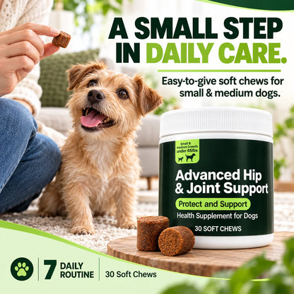Hip & Joint Soft Chews for Dogs