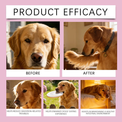 Dog Collagen Liquid Drops Enhance Joint Flexibility Strengthen Bone Improve Skin Condition Mild Daily Dog Nutritional Supplement