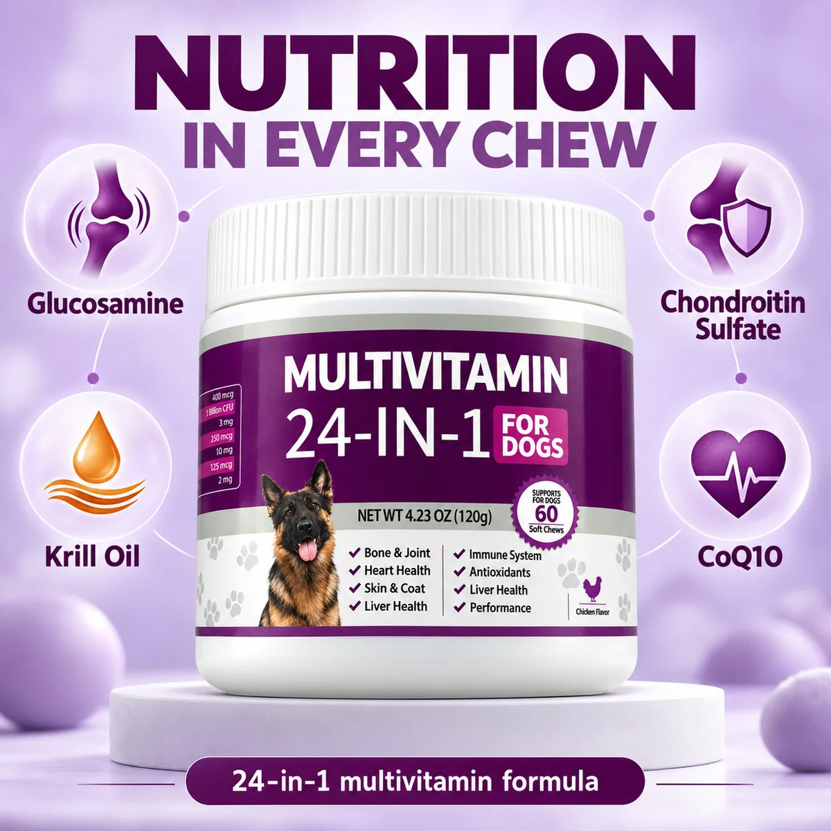 24 in 1 Dog Multivitamin Soft Chews 60 Count Chicken Flavor Daily Nutrition Supplement for Skin Coat Joint Support Pet Care 120g