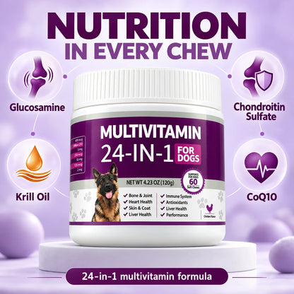 24 in 1 Dog Multivitamin Soft Chews 60 Count Chicken Flavor Daily Nutrition Supplement for Skin Coat Joint Support Pet Care 120g