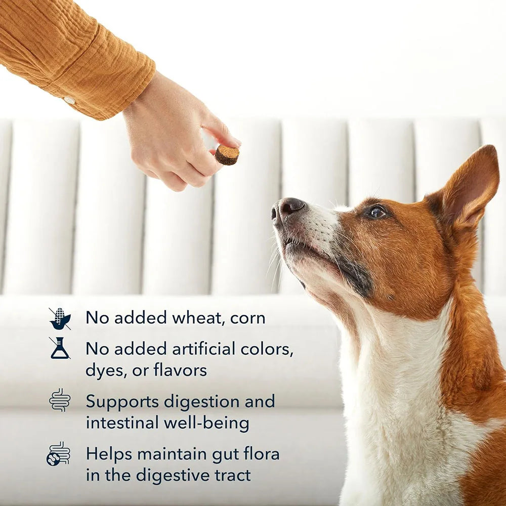 Probiotic Soft Chews for Dogs