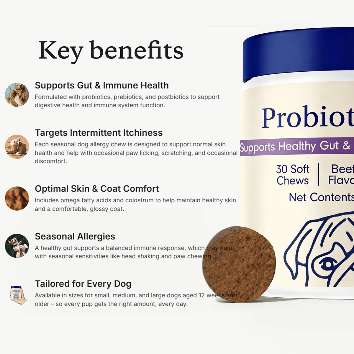 Probiotic Chews for Dogs - Probiotics for Gut Health, Occasional Diarrhea, Digestive Health & Seasonal Allergies, Beef Flavor
