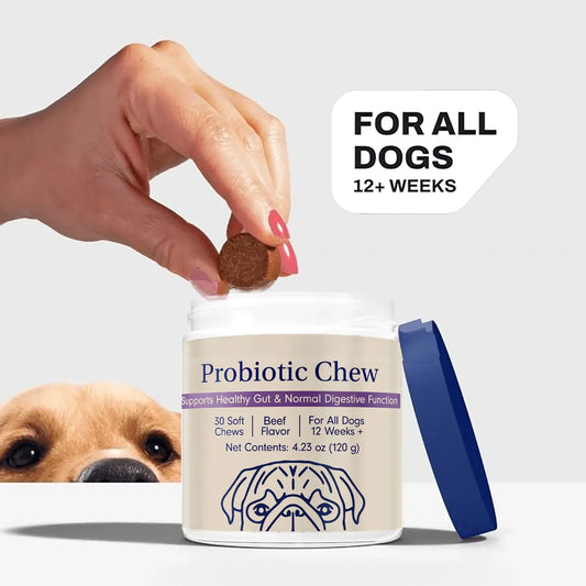 Probiotic Chews for Dogs - Probiotics for Gut Health, Occasional Diarrhea, Digestive Health & Seasonal Allergies, Beef Flavor