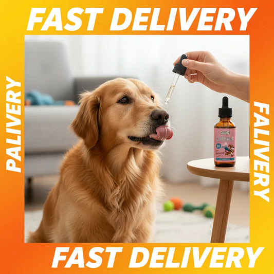 1/2/3/5pcs Dog Collagen Drops Gentle Formula for Coat & Skin Care Main Dietary Supplement Dog Cleaning Supplies Pet Care