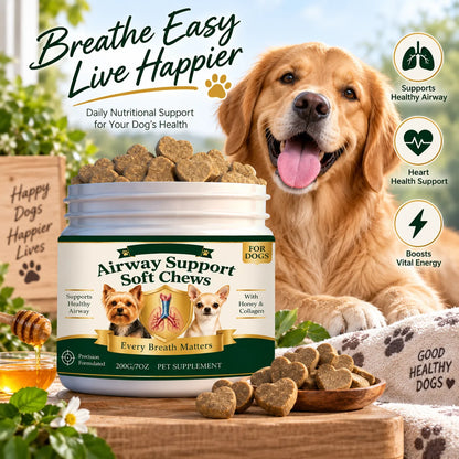 Dogs Airway Support Soft Chews Heart Wellness Vital Energy Support Maintain Healthy Hair Radiance Daily Nutrients Supplement